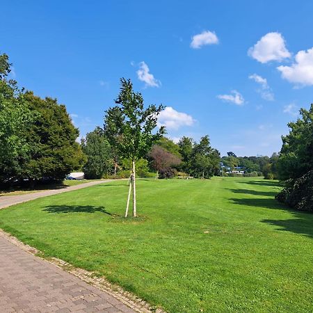 Ruhiges Apartment Am Kurpark In Bester Wohnlage Wiesbaden Eksteriør bilde