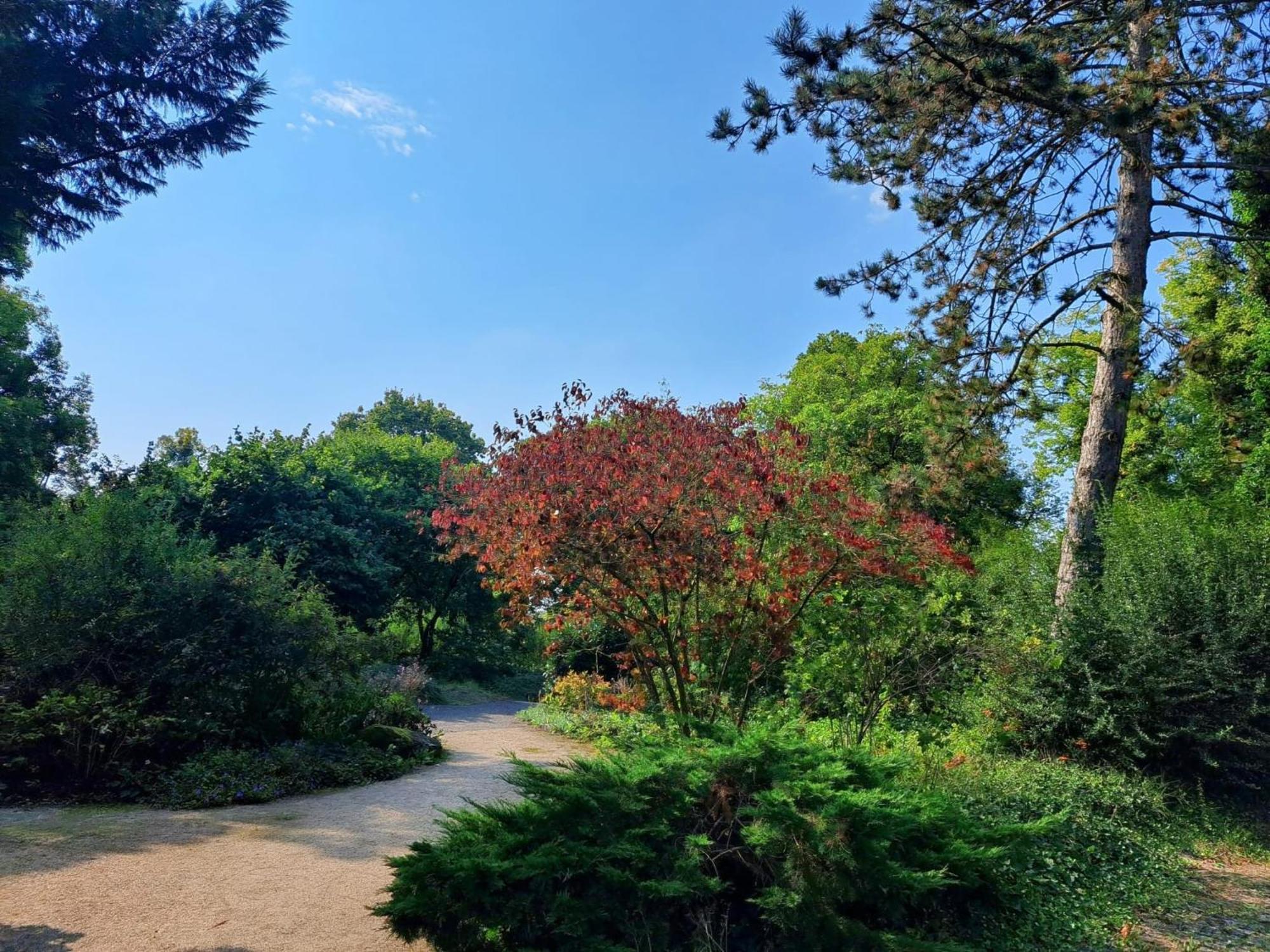 Ruhiges Apartment Am Kurpark In Bester Wohnlage Wiesbaden Eksteriør bilde