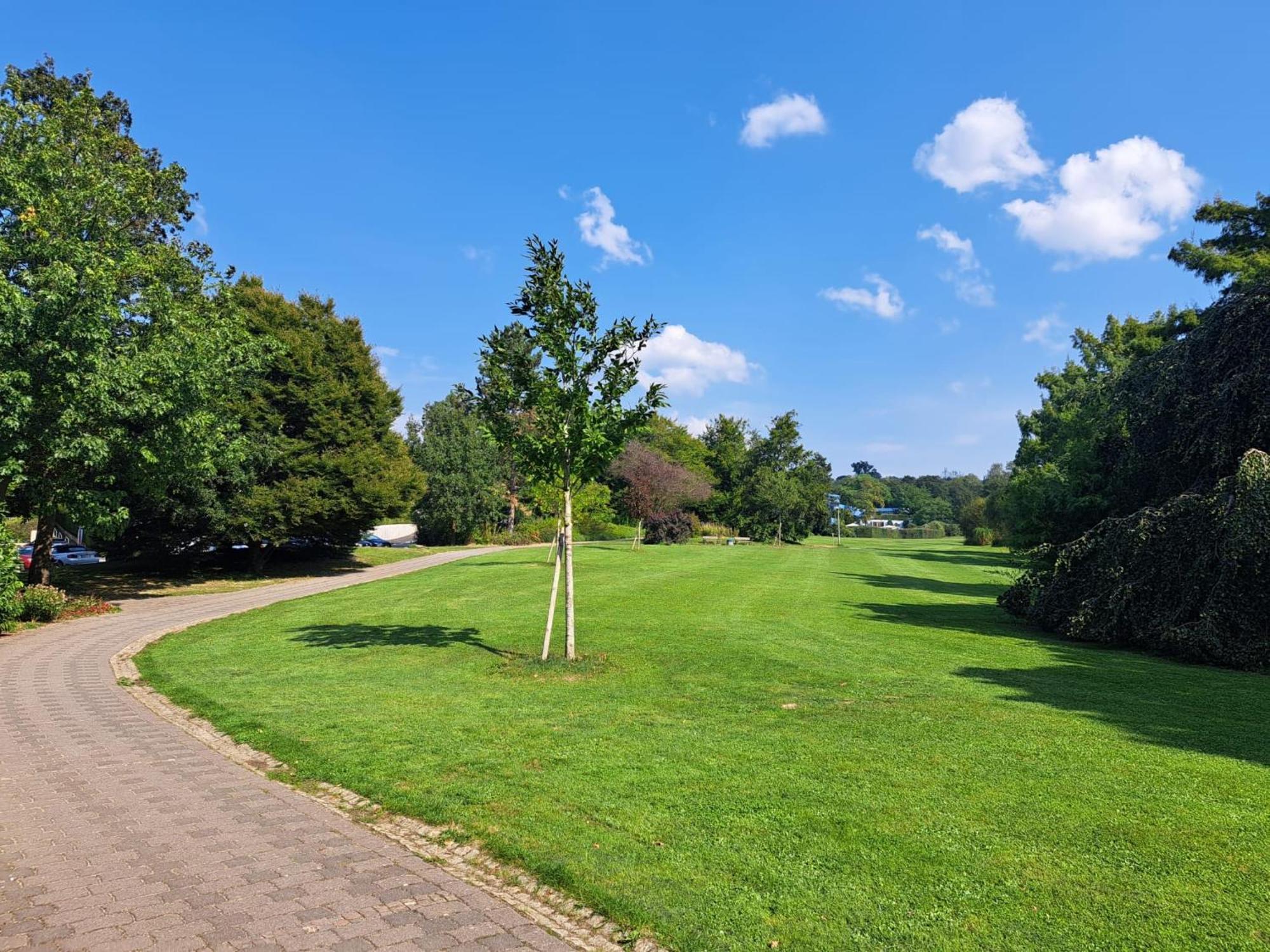 Ruhiges Apartment Am Kurpark In Bester Wohnlage Wiesbaden Eksteriør bilde